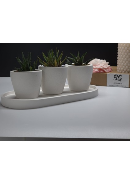 Tepsili Sukulent Saksı Seti Tip-1 modelleri