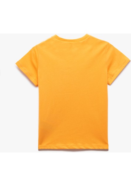 Pamuklu Kısa Kollu Bisiklet Yaka 2'li Basic Tişört Seti modelleri