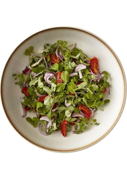 Gastro Salata Kasesi Krem/krem Çap:30 cm fırsatları