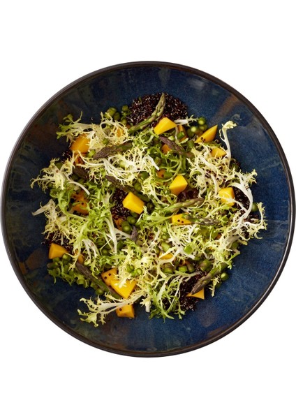 Gastro Salata Kasesi Siyah/koyu Mavi Çap:30 cm