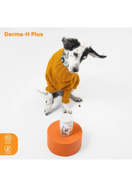 Derma H Plus: Köpekler İçin Glütensiz ve Şekersiz Çiğnenebilir Tablet (120 gr)