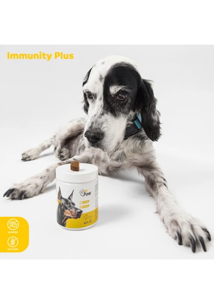 Immunity Plus: Köpekler İçin Glütensiz ve Şekersiz Çiğnenebilir Tablet (120 gr)