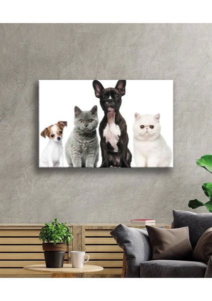 Kediler ve Köpekler Cam Tablo