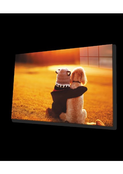 Çocuk ve Köpek Cam Tablo