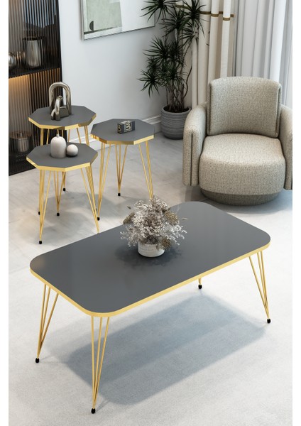 3'lü Sekizgen Zigon Sehpa ve Dikdörtgen Orta Sehpa Takımı Modern Gold Metal Ayaklı Salon Sehpa Seti