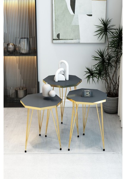 3'lü Sekizgen Zigon Sehpa ve Dikdörtgen Orta Sehpa Takımı Modern Gold Metal Ayaklı Salon Sehpa Seti fiyatları