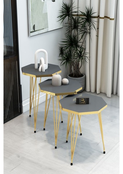 3'lü Sekizgen Zigon Sehpa ve Dikdörtgen Orta Sehpa Takımı Modern Gold Metal Ayaklı Salon Sehpa Seti modelleri