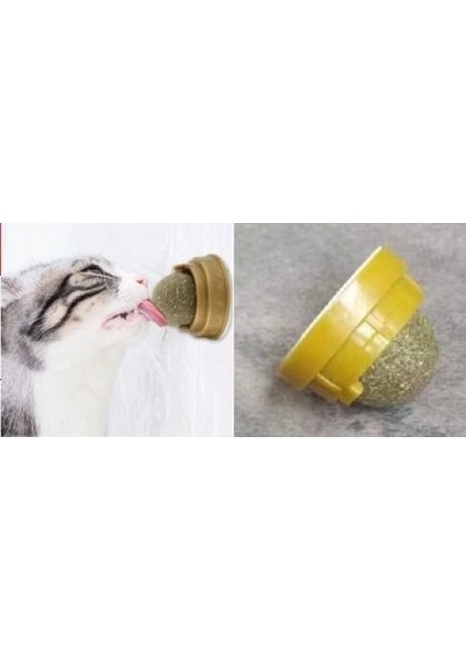 Kedi Nanesi Topu