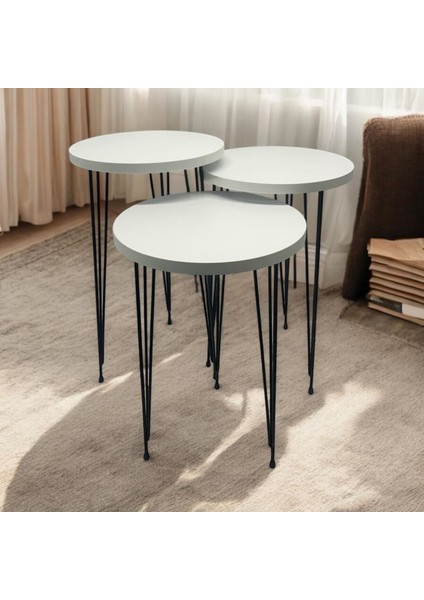 Zigon Sehpa 3'lü Yuvarlak Model Metal Tel Ayak (Beyaz) 30 Çap