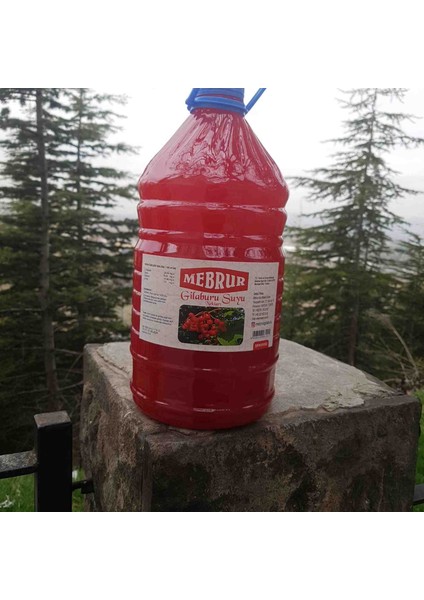 Mebrur Gilaburu Suyu Nektarı