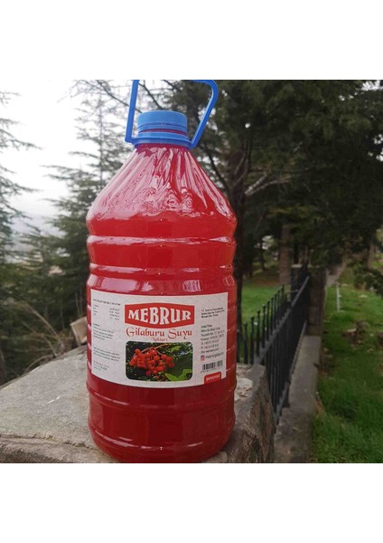 Mebrur Gilaburu Suyu Nektarı