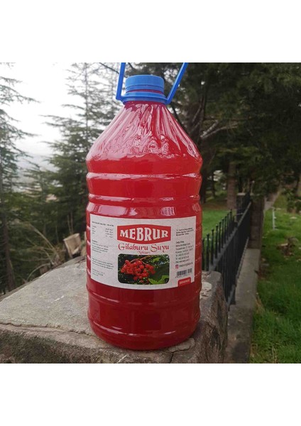 Mebrur Gilaburu Suyu Nektarı