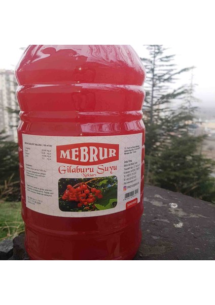 Mebrur Gilaburu Suyu Nektarı