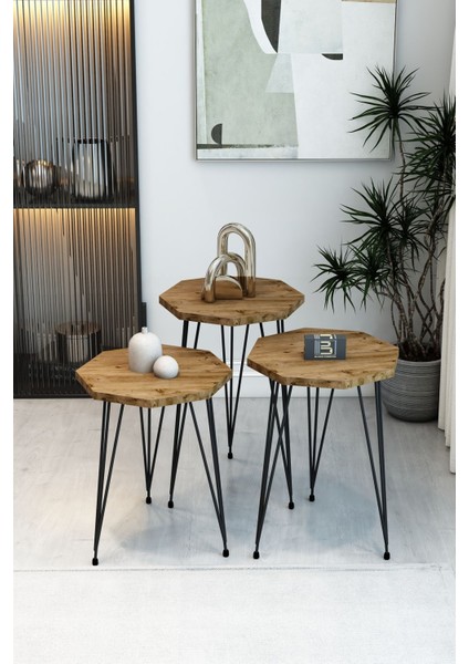 3'lü Sekizgen Zigon Sehpa ve Dikdörtgen Orta Sehpa Takımı Modern Siyah Metal Ayaklı Salon Sehpa Seti fiyatları