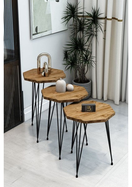 3'lü Sekizgen Zigon Sehpa ve Dikdörtgen Orta Sehpa Takımı Modern Siyah Metal Ayaklı Salon Sehpa Seti modelleri