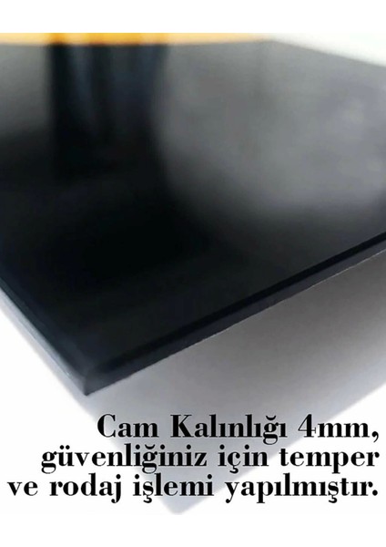 Su Aygırı Sualtı Cam Tablo