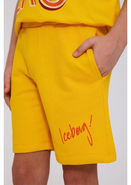 Bg Store Erkek Çocuk Sarı Şort modelleri