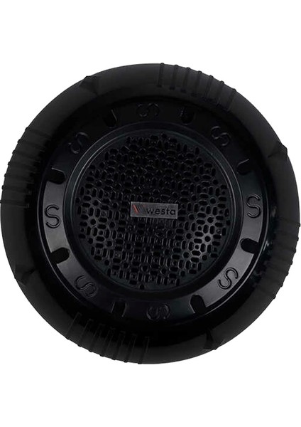 Westa WS-1119TB 13 cm Sıva Üstü Siyah Tavan Hoparlör (4172)