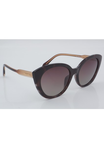 DS 1946 C1 55 - 01 Güneş Gözlüğü modelleri