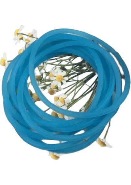 10PCS Kadın Moda Şekeri Renkli Kauçuk Saç Bantları Elastik Saç Bağları Silikon Saç Bandı Scrunchies Bilezik Kız Aksesuarlar: Renk 4 (Yurt Dışından)