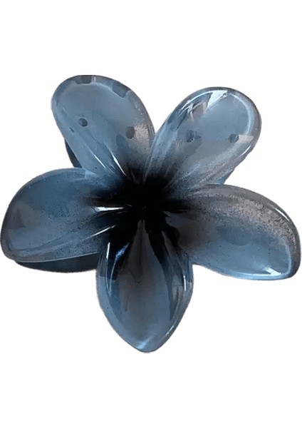 Gradyan Kübik Plumeria Saç Pençeleri Kadınlar Için Saç Teslim Ins Stil Yüksek At Kuyruğu Tutucu Ette Tatlı Köpekbalığı Klipleri Parti Aksesuar Renk: Style2 (Yurt Dışından)