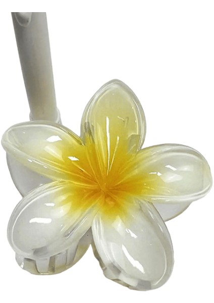 Kırmızı Çiçek Saç Klipleri Kadınlar Için Modaya Uygun Tatlı Saç Pençeleri Yengeç Kelepçesi Ettes Mujer Hawaiiian Girek Kızlar Saç Aksesuarları Metal Renk: M (Yurt Dışından)