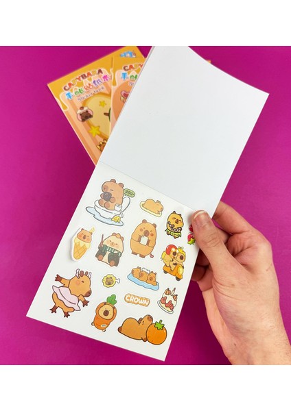 3'lü Capybara Sticker Book modelleri