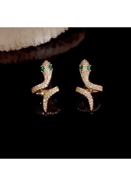 Sterling Gümüş Iğne Moda Mizaç Yılan Şeklindeki Küpeler Üst Düzey Benzersiz Küpeler (Yurt Dışından)