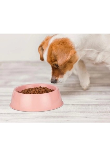 Mikopet Büyük Yuvarlak Mama Kabı fiyatları