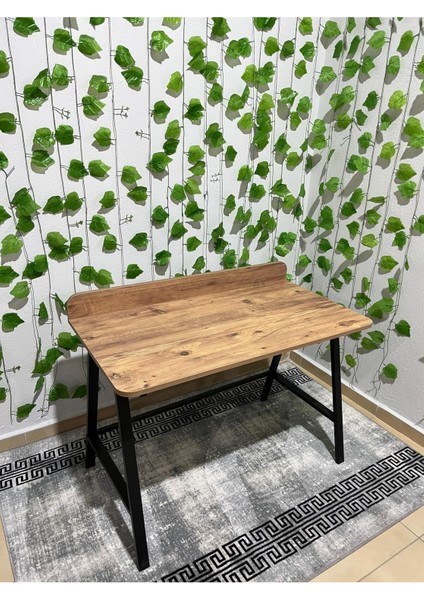 Modern Çalışma Masası 60X110 Metal Ayaklı Çalışma Masası