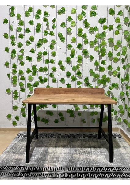 Modern Çalışma Masası 60X110 Metal Ayaklı Çalışma Masası