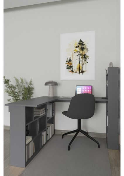 Venedik 13 Raflı Çalışma Masası, Antrasit fiyatları