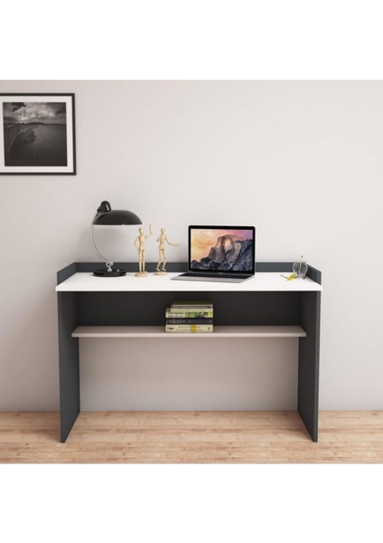 S6030 Nazende Çalışma Masası Antrasit/bey