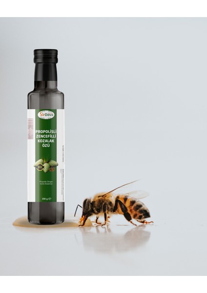 Propolisli Zencefilli Kozalak Özü 350 ml