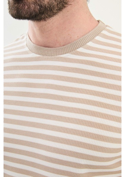 Penye Çizgili Bisiklet Yaka fiyatları