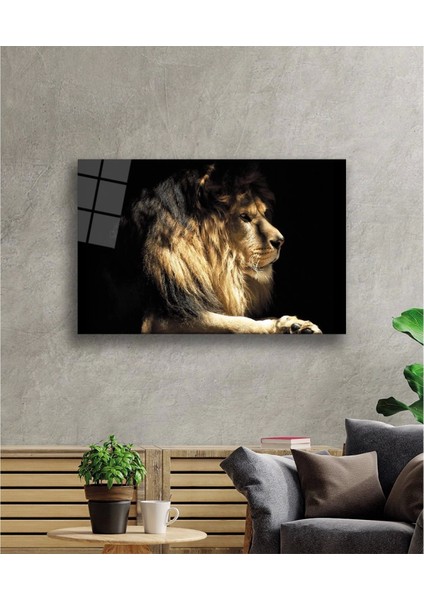 Aslan Cam Tablo fiyatları