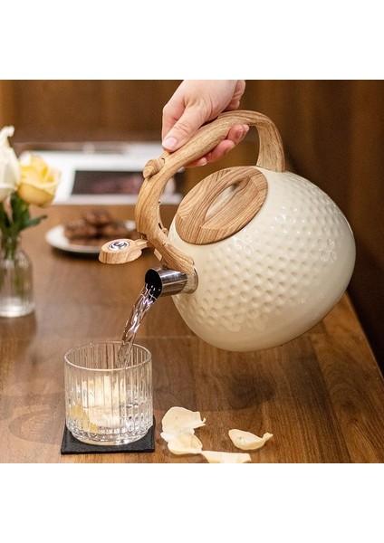 Modern Tasarım Düdüklü Kettle 3l Paslanmaz Çelik Ergonomik Su Isıtıcı Çaydanlık Islıklı