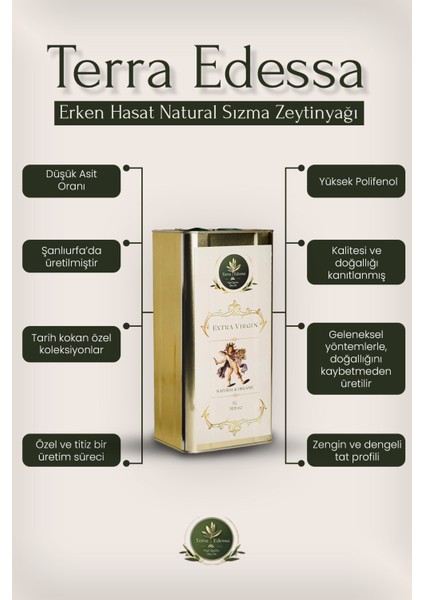 Erken Hasat Natürel Sızma Zeytinyağı - 5 Litre - Mezopotamya'nın Bereketli Lezzeti