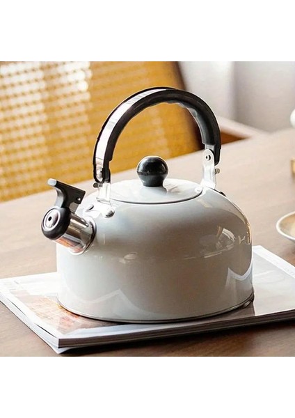 3l Paslanmaz Çelik Düdüklü Kettle Su Isıtıcısı Çaydanlık Islıklı Demlik