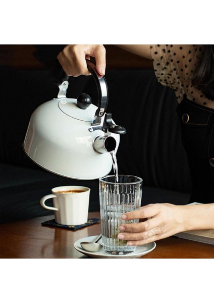 3l Paslanmaz Çelik Düdüklü Kettle Su Isıtıcısı Çaydanlık Islıklı Demlik