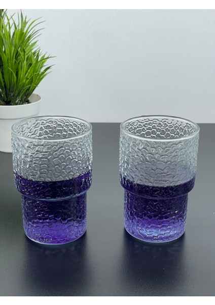 2'li Cam Pinterest Meşrubat Kokteyl Bardağı Bardak Kupa