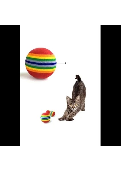 Sünger Kedi Köpek Çiğneme ve Oyun Topu 4 Adet