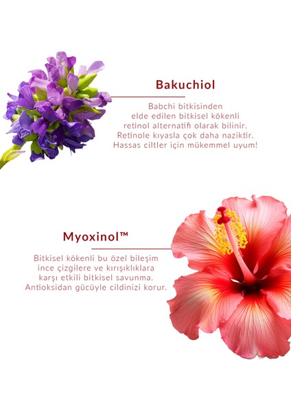 Renewage Bakuchiol (%1) Duoserum® | Hassas Ciltler için Bitkisel Retinol Alternatifi | Gece Onarım Cilt Serumu
