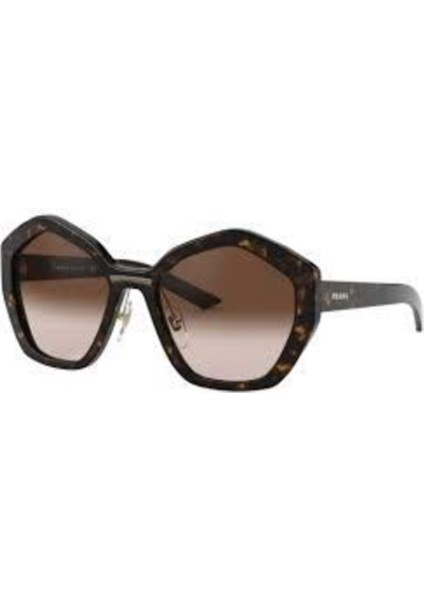 Güneş Gözlüğü Pr 08XS 55 2AU6S1 fiyatları