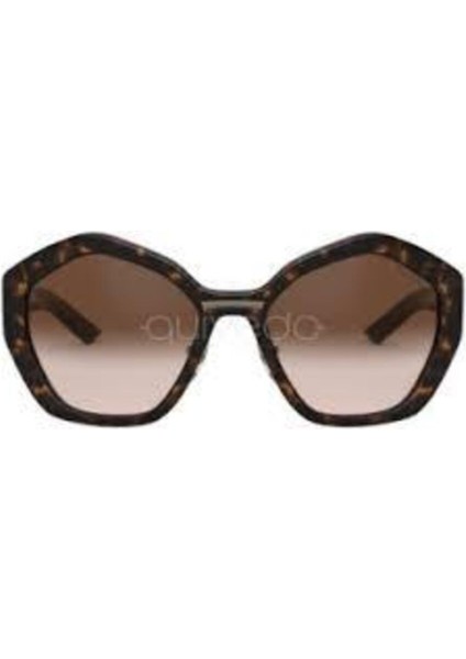 Güneş Gözlüğü Pr 08XS 55 2AU6S1 fırsatları