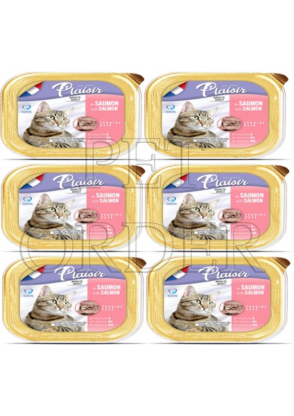 Somon Balıklı Pate Yetişkin Kedi Yaş Maması 100 gr 6 adet