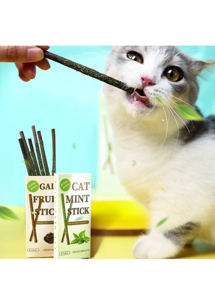 Matatabi Kedi Otu Diş Bakım Çubuğu, 6'lı Paket, Doğal Diş Temizleyici modelleri