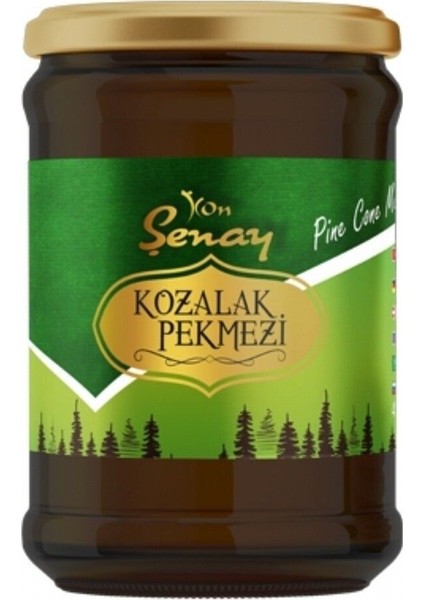 Şenay Çam Kozalağı Pekmezi 450GR