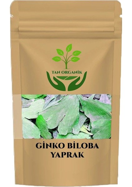 Ginko Biloba Yaprağı (Mabet Ağacı) 25GR