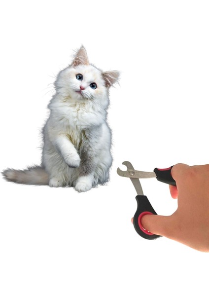 Büyük Irk Köpek Kedi Çelik Uçlu Evcil Hayvan Tırnak Makası Pati Bakım Aleti Ergonomik Kaymaz